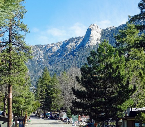 A scenic view of a mountain peak surrounded by tall trees and a clear blue sky.