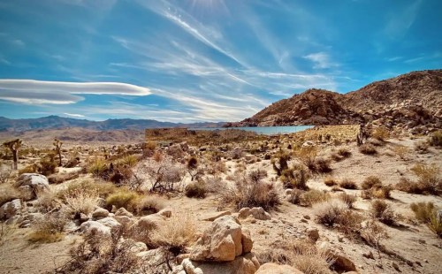 A desert landscape with rocky terrain, sparse vegetation, and a distant mountain under a blue sky with wispy clouds.