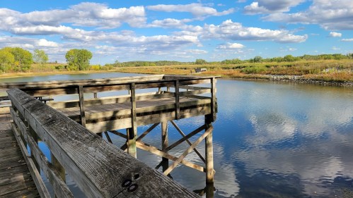 A wooden dock extends over a calm river, surrounded by lush greenery and fluffy clouds in a blue sky.