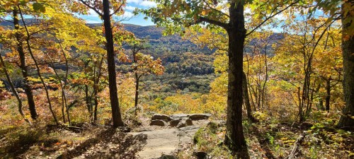 A scenic view of a colorful autumn landscape with trees and mountains in the background.