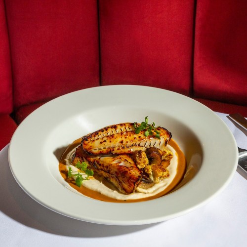 A plate of grilled fish atop creamy mashed potatoes, garnished with herbs, served on a white dish against a red background.