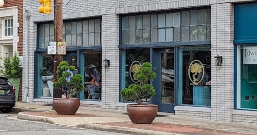 A storefront with large windows, potted plants outside, and a sign on the wall, located on a city street.