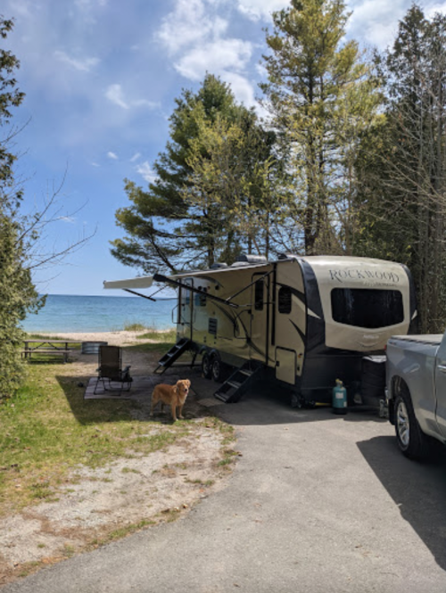A camper parked near a beach, surrounded by trees, with a dog standing nearby and a truck in the foreground.