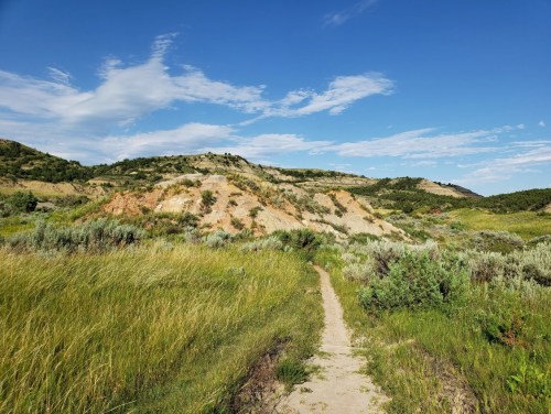 A winding dirt path leads through lush green grass and shrubs, with colorful hills under a blue sky in the background.