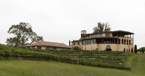 A vineyard with lush green rows and a large, elegant building in the background under a cloudy sky.