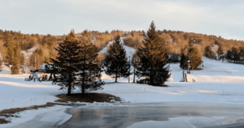 A snowy landscape with trees, a ski slope in the background, and a frozen pond in the foreground.