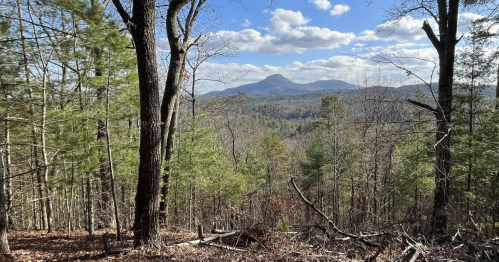 A scenic view of mountains in the distance, framed by trees and a clear blue sky with scattered clouds.