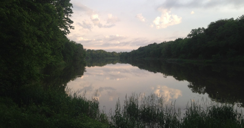 A serene river scene reflecting trees and clouds, surrounded by lush greenery under a soft, cloudy sky.