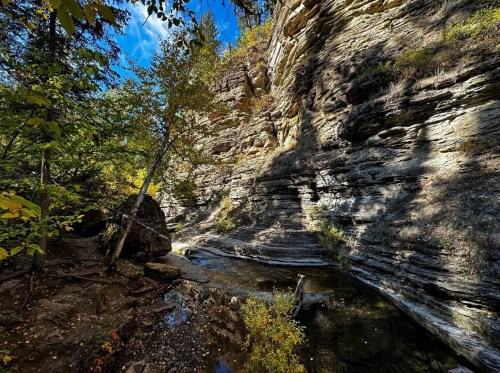 A serene canyon with layered rock formations, trees, and a calm stream under a blue sky with scattered clouds.