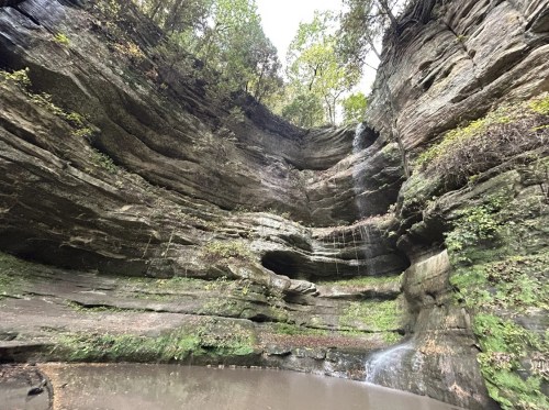 A serene rock formation with a waterfall cascading into a small pool, surrounded by lush greenery and trees.
