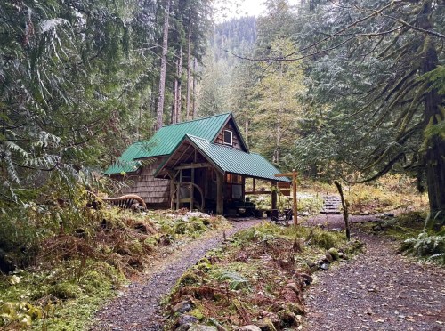A cozy cabin with a green roof nestled in a forest, surrounded by tall trees and a gravel path.