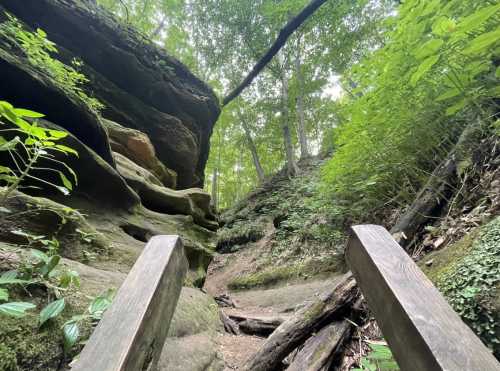 A narrow trail leads through lush greenery and rock formations, with wooden steps guiding the way upward.