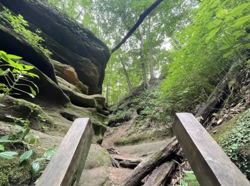 A narrow trail leads through lush greenery and rock formations, with wooden steps guiding the way upward.