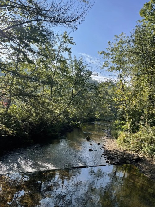A serene river flows through a lush, green landscape under a clear blue sky, reflecting the surrounding trees.