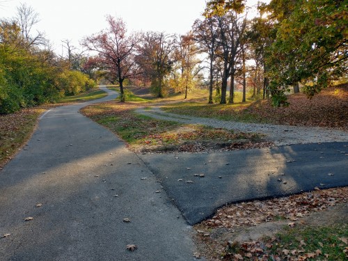 A scenic park path splits into two trails, surrounded by trees with autumn foliage and fallen leaves.