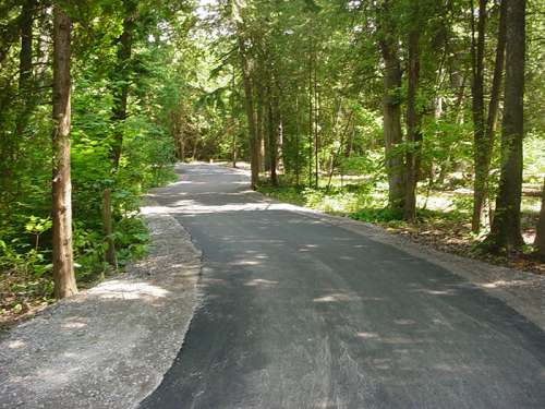 A winding road through a lush green forest, surrounded by trees and dappled sunlight.