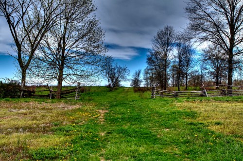 A grassy path leads through trees and a wooden fence under a cloudy sky.