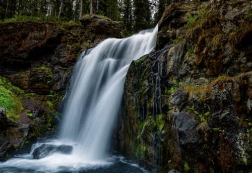 A serene waterfall cascades over rocky cliffs, surrounded by lush greenery and tall trees.