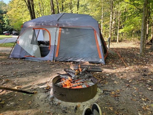 A camping scene with a tent in the background and a campfire in the foreground, surrounded by trees and fallen leaves.