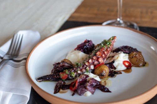 Grilled octopus served on a plate with mashed potatoes, red cabbage, and garnished with herbs and chili.