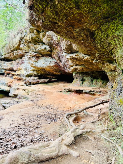 Rocky cave entrance surrounded by moss-covered cliffs and tree roots, with a sandy floor and greenery in the background.