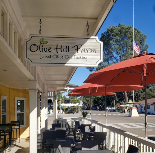 Sign for Olive Hill Farm, featuring outdoor seating and red umbrellas, in a sunny, quaint setting.