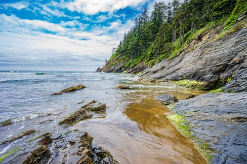 A rocky shoreline with gentle waves, lush green trees, and a cloudy sky above.