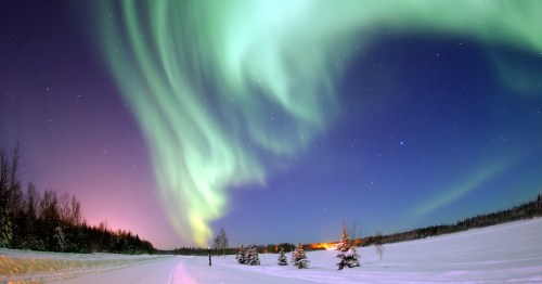 A stunning view of the Northern Lights illuminating a snowy landscape with trees and a faint glow in the distance.