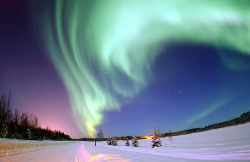 A stunning display of the Northern Lights over a snowy landscape, with trees and a faint glow on the horizon.