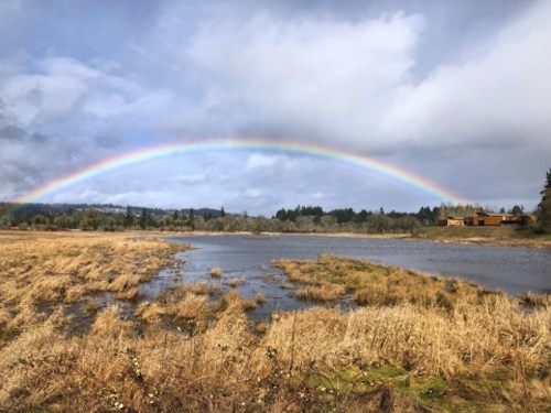 A vibrant rainbow arcs over a wetland with golden grasses and a calm water surface under a cloudy sky.