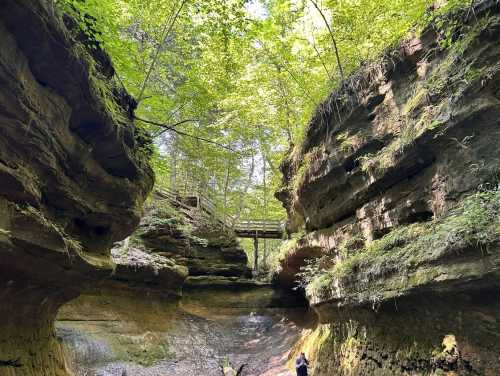 A narrow canyon with steep rock walls, lush greenery above, and a wooden bridge in the distance. A person stands below.