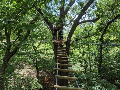 Two people stand on a wooden bridge high in a tree, surrounded by lush green foliage.