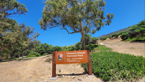 Sign for Channel Islands National Park, with a clear blue sky and greenery in the background.