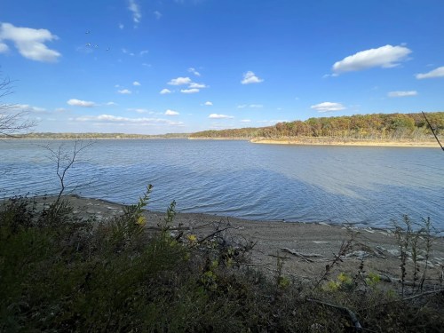 A serene view of a river with a sandy shore, surrounded by trees under a blue sky with scattered clouds.