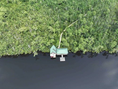 Aerial view of a small cabin by a dark river, surrounded by dense green trees and foliage.