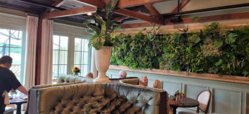 A cozy restaurant interior featuring green plants on the wall, plush seating, and diners enjoying their meals.