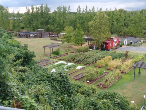 Aerial view of a community garden with raised beds, greenery, and a red shed surrounded by trees under a cloudy sky.