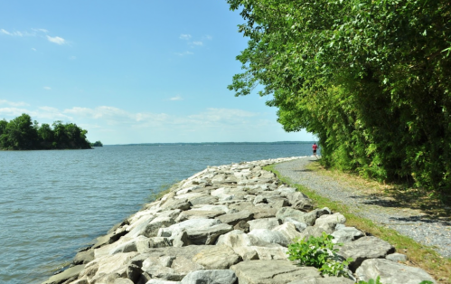A rocky shoreline beside a calm lake, with trees lining the path and a clear blue sky above.