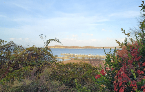 A serene view of a calm bay with a dock, framed by lush greenery and colorful autumn leaves.