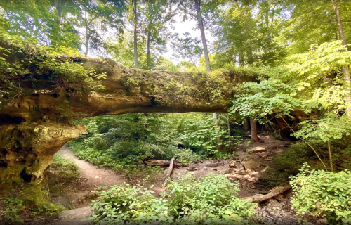 A natural stone arch surrounded by lush green trees and foliage, with a dirt path leading through the forest.