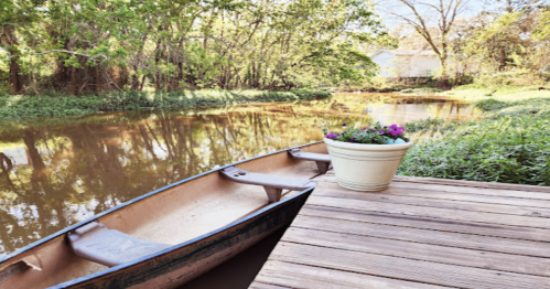 A wooden dock with a canoe and a flower pot, surrounded by lush greenery and a calm, reflective waterway.