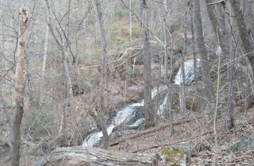 A serene forest scene featuring a small waterfall cascading over rocks, surrounded by bare trees and fallen leaves.