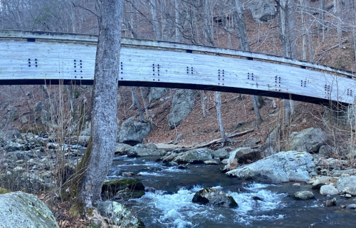 A wooden bridge arches over a flowing stream, surrounded by rocky terrain and bare trees in a serene forest setting.