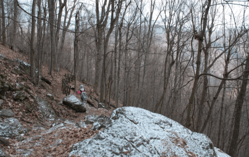 A child walks along a rocky trail in a wooded area, surrounded by bare trees and fallen leaves.