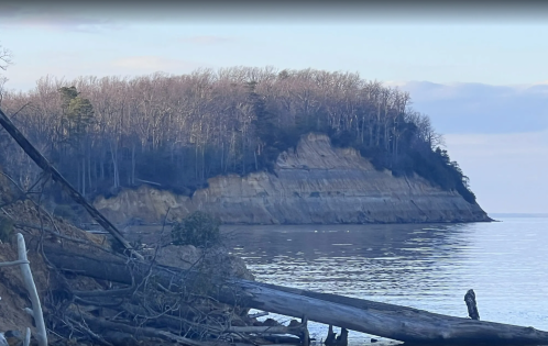 A serene coastal scene featuring a rocky shoreline, trees on a cliff, and calm water under a soft sky.