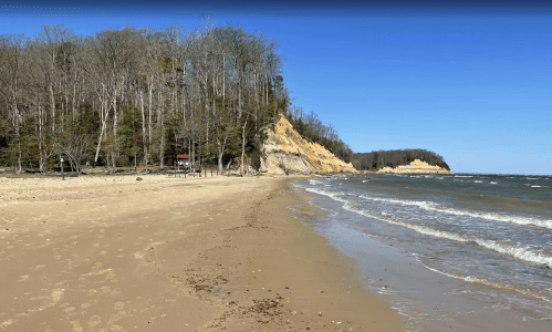 A sandy beach with gentle waves, bordered by trees and a rocky cliff under a clear blue sky.
