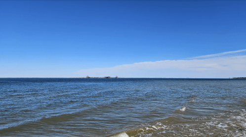 A serene beach scene with gentle waves and a clear blue sky, featuring distant ships on the horizon.