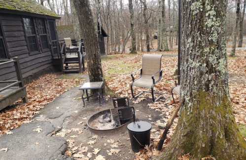 A cozy outdoor space with a fire pit, chairs, and a table surrounded by trees and fallen leaves.