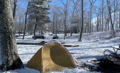 A yellow tent in a snowy campsite surrounded by bare trees and parked cars in the background.