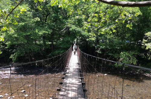 A person walks across a suspension bridge surrounded by lush green trees and a flowing river below.
